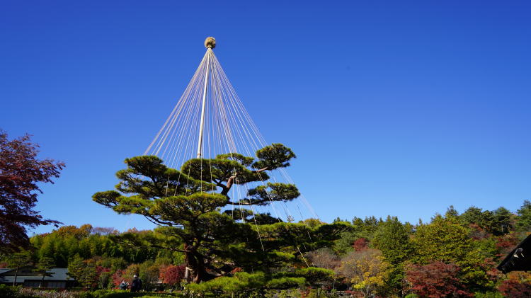 秋の昭和記念公園