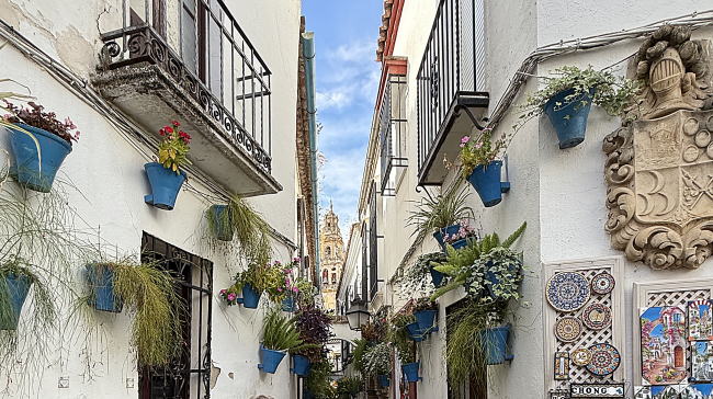 コルドバ・花の小路