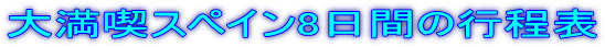大満喫スペイン8日間の行程表