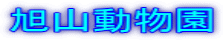旭山動物園